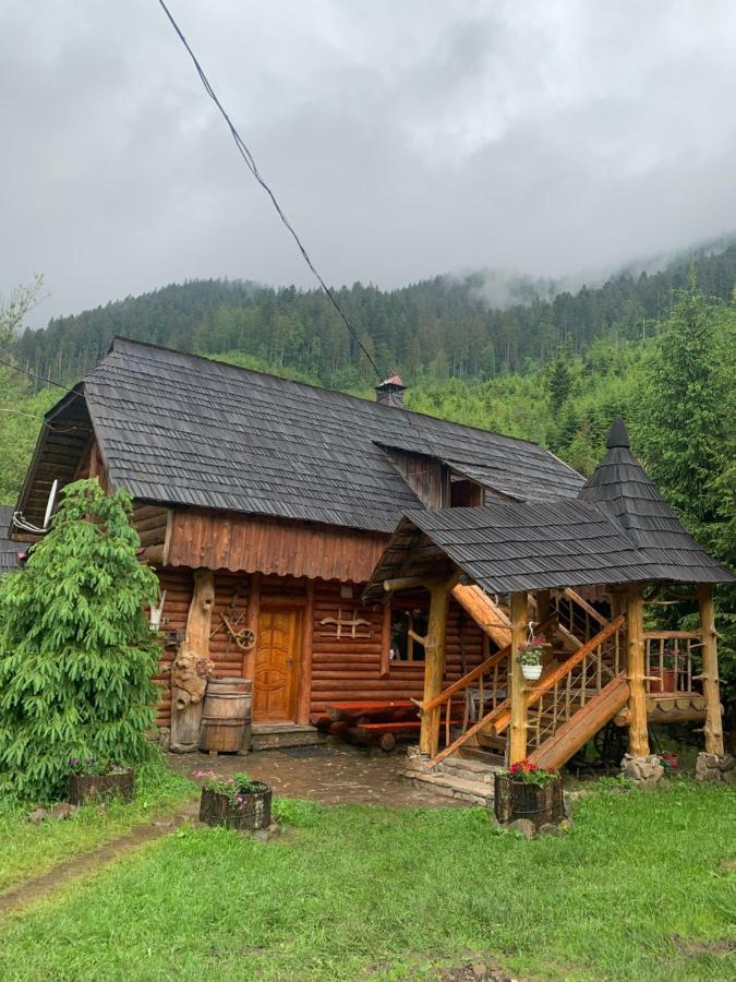 Будинок Художника Synevyrsʼka Polyana Exteriér fotografie