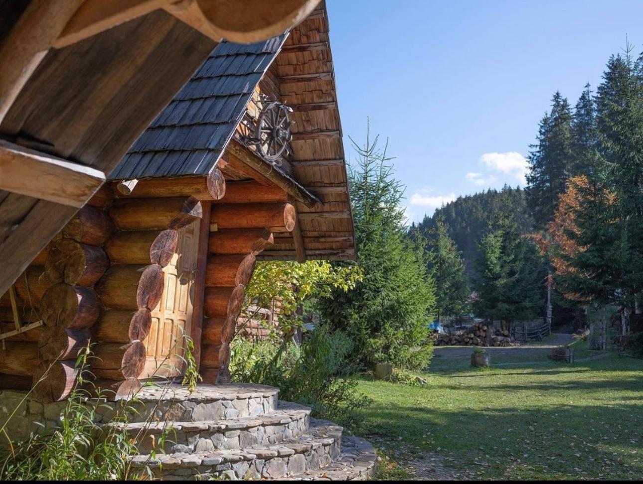 Будинок Художника Synevyrsʼka Polyana Exteriér fotografie