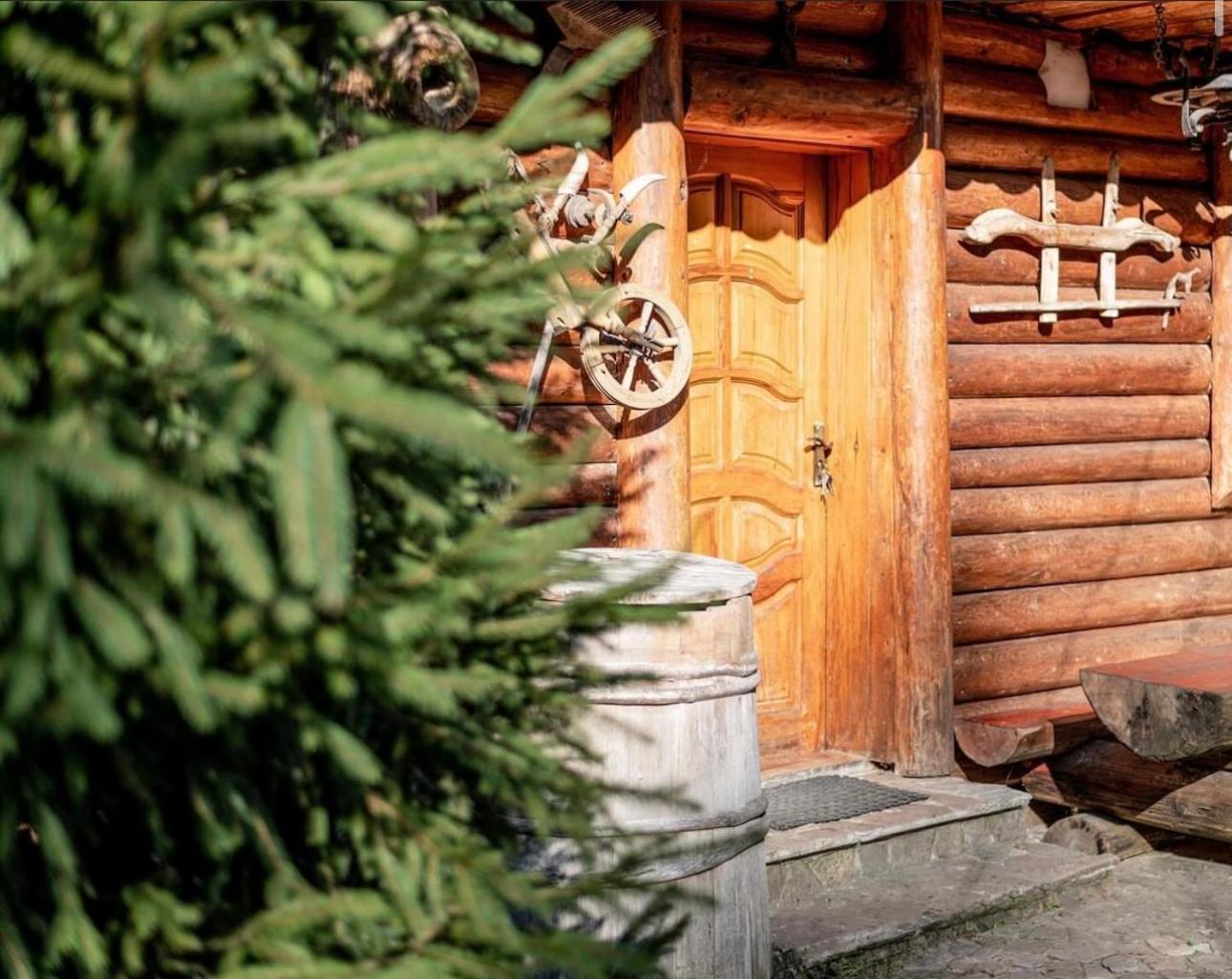 Будинок Художника Synevyrsʼka Polyana Exteriér fotografie